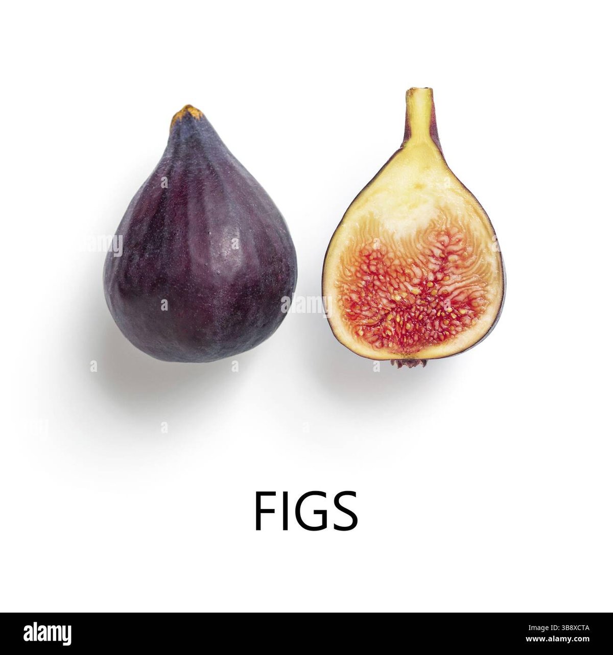 Top Metal Groups: Ranking the Best Heavy Metal Bands